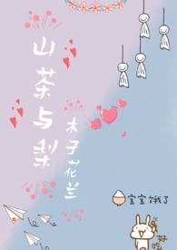 宋城与辽宁省公安厅关系